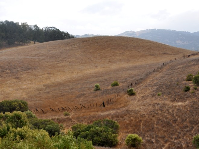 Almaden Quicksilver trail view