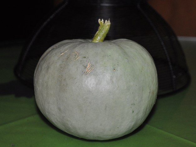 light green pumpkin