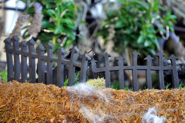 spooky fence