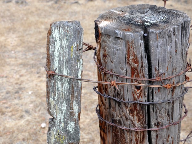 fence with barbed wire