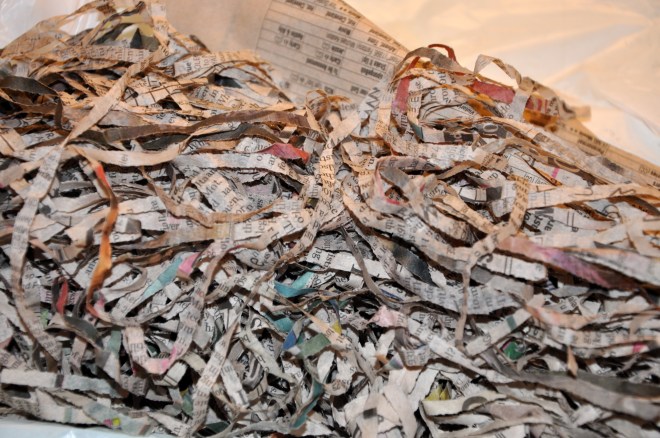 damp shredded newspaper
