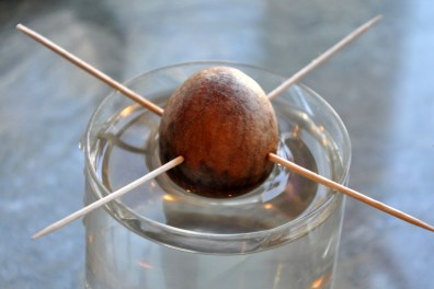 Growing from an avocado pit