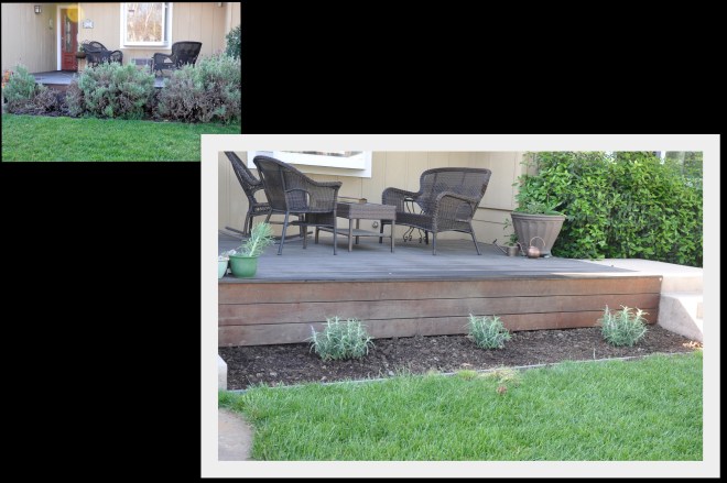 sage replaces lavender