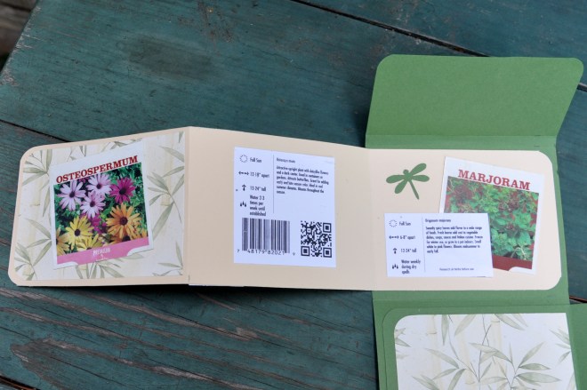 plant care instructions