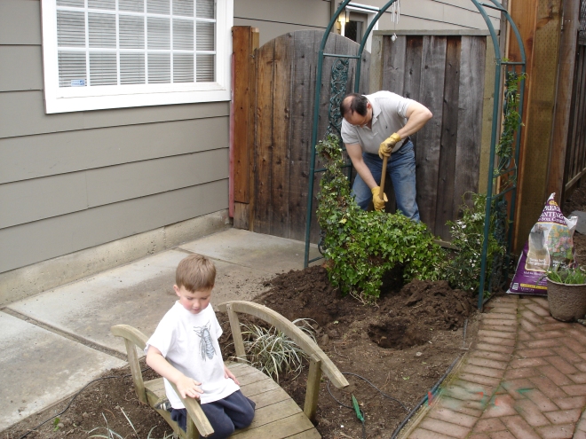 planting the children's garden