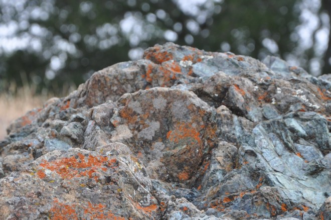 orange rock