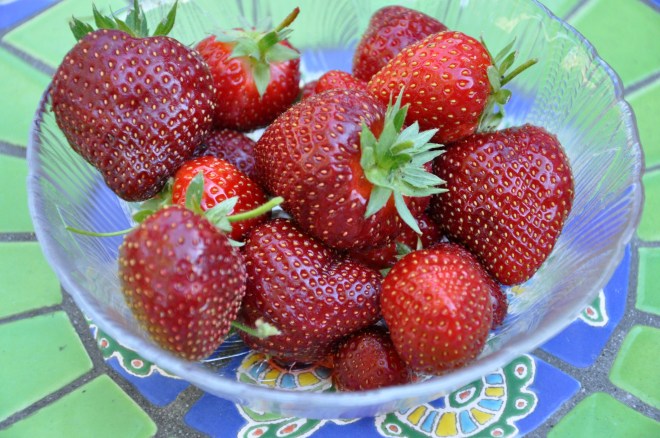 garden strawberries