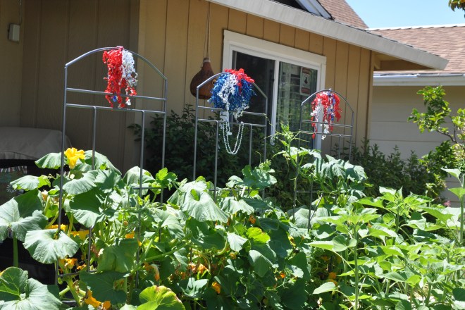 pumpkin patch 4th of July