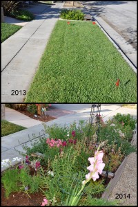 Sidewalk strip before and after