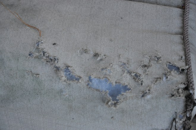 shredding the original cover