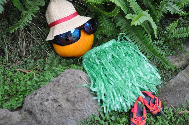 aloha pumpkin