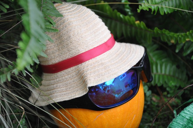 aloha pumpkin closeup