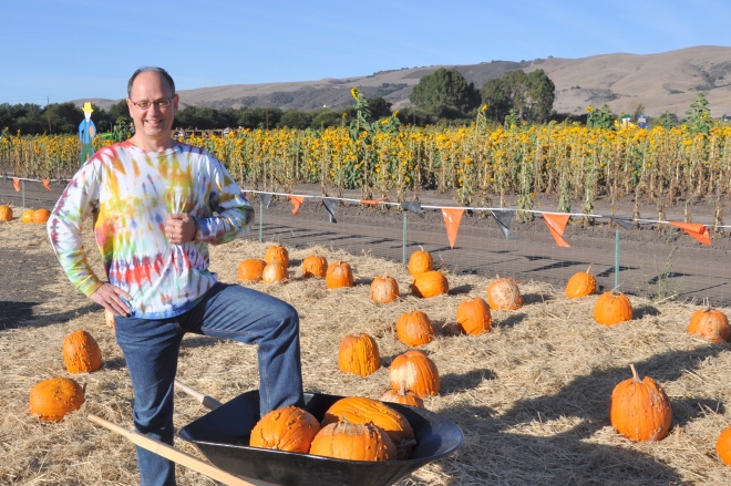 mike spina farms pumpkin patch
