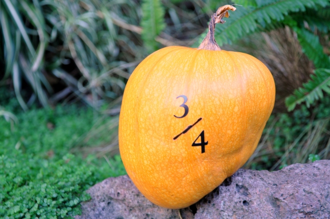 three quarters pumpkin