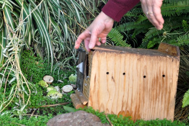 lifting the lid, vegetables nearby