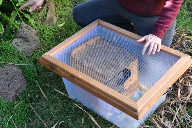 the squirrels arrive