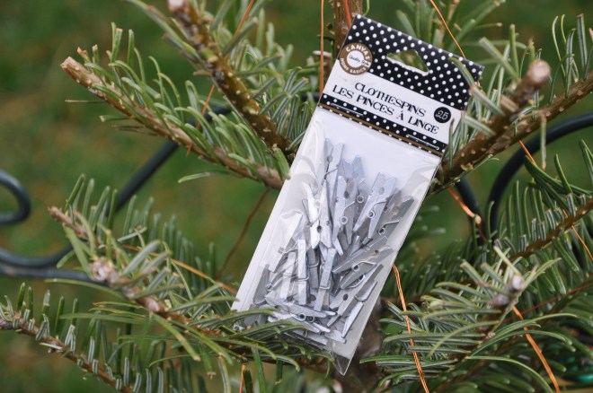 Miniature silver clothespins