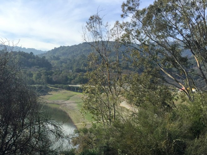 lexington bridge 2-3-2015 1-53-33 PM