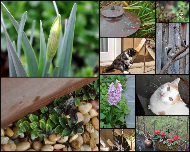 2015 spring garden collage