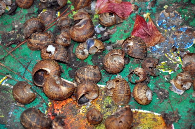snail wasteland