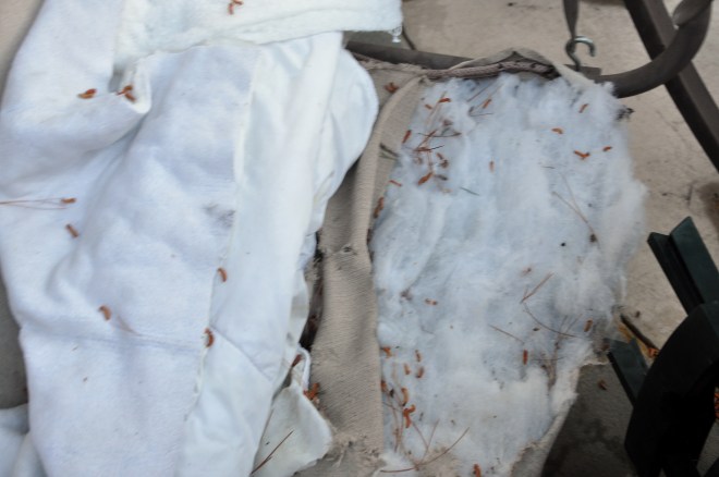 swing stuffing and blanket