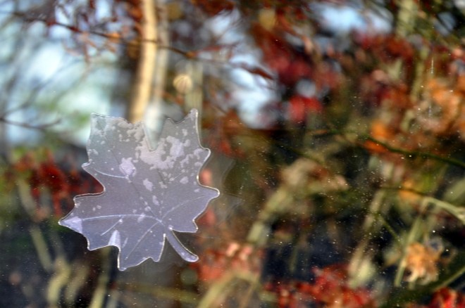 window decal ultraviolet