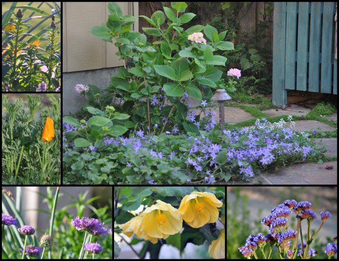 2015 spring garden collage-001