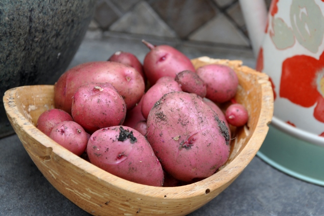 bowl of red potatoes