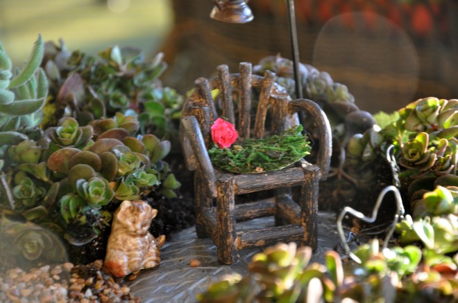 succulent fairy garden