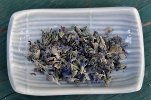 lavender flowers dried