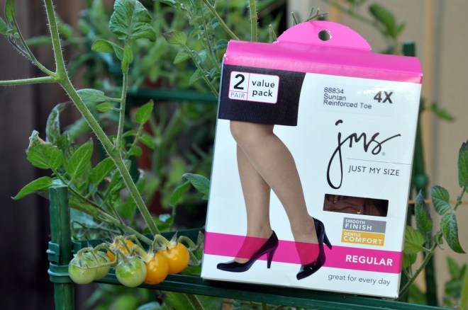 pantyhose for pumpkin