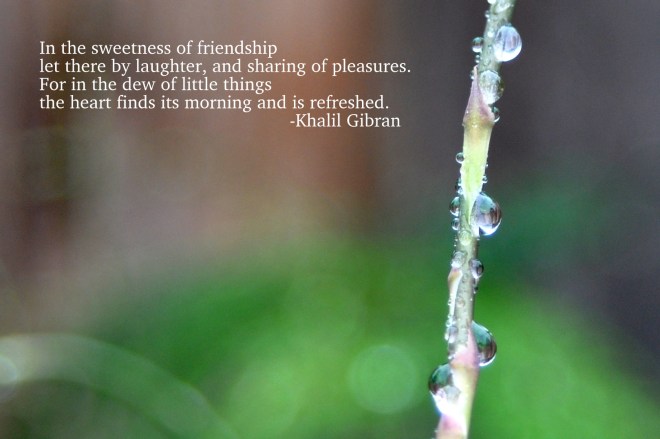 quote gibran with dew drop