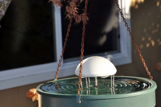 water wiggler in fountain