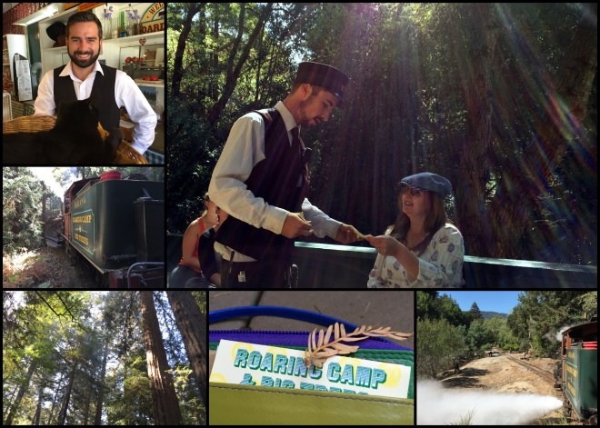 felton train collage