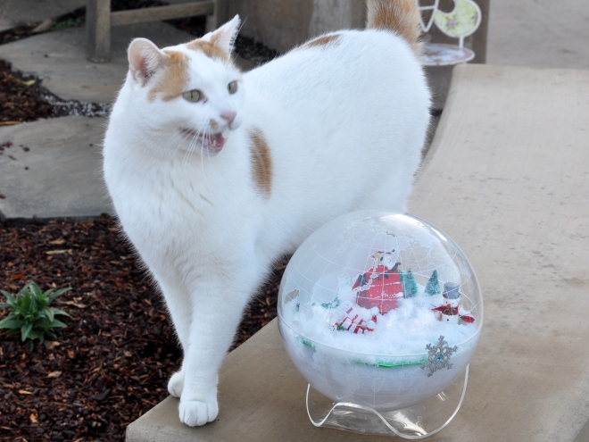 snow globe with Mouse talking
