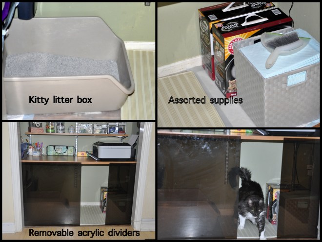 organized cat box