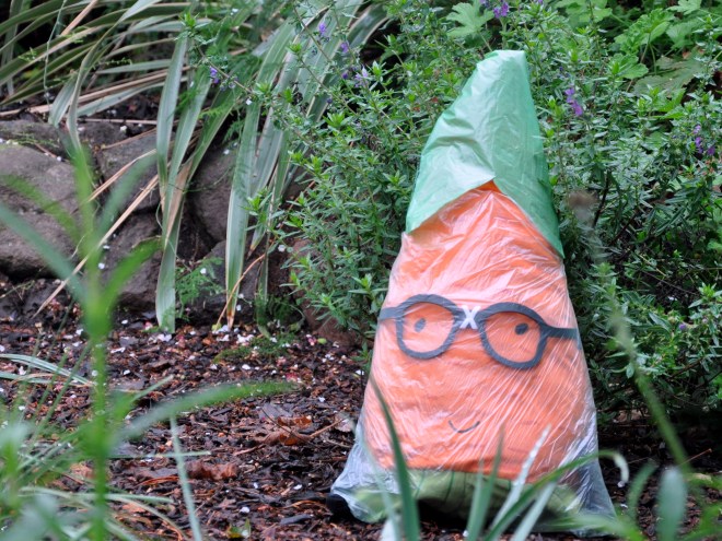 gardenerd in the garden