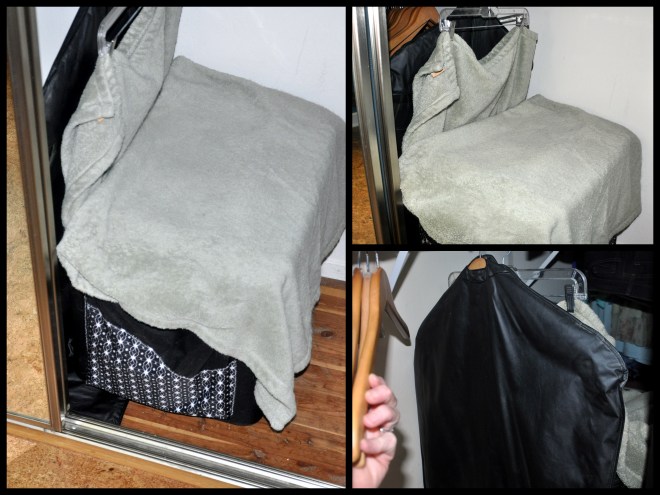 organized closet for cat