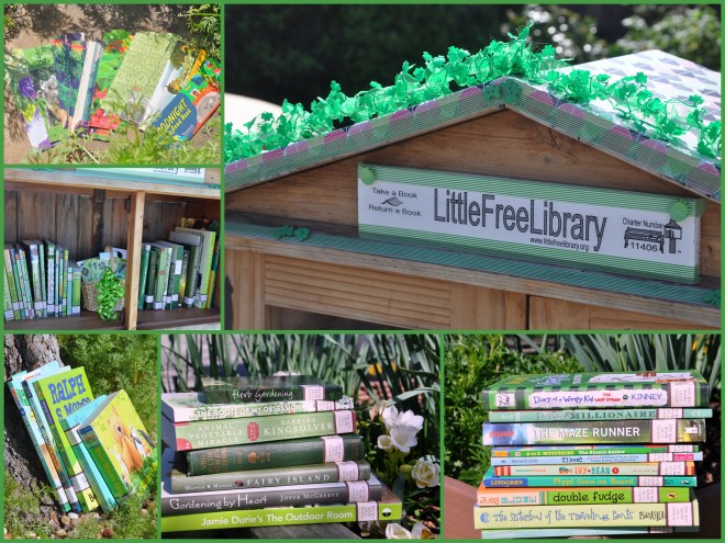Little Free Library st. Patrick's day
