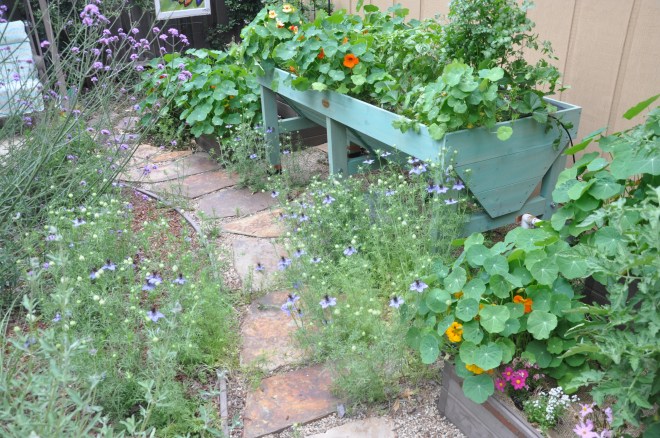 vegetable garden may 5th