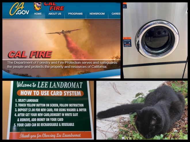cal fire collage