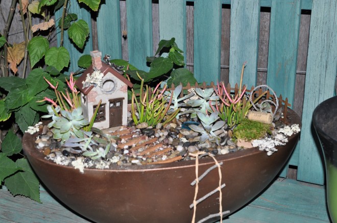 completed-fairy-garden-for-elizabeth