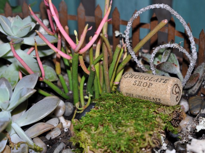 fairy-garden-bed-with-cork
