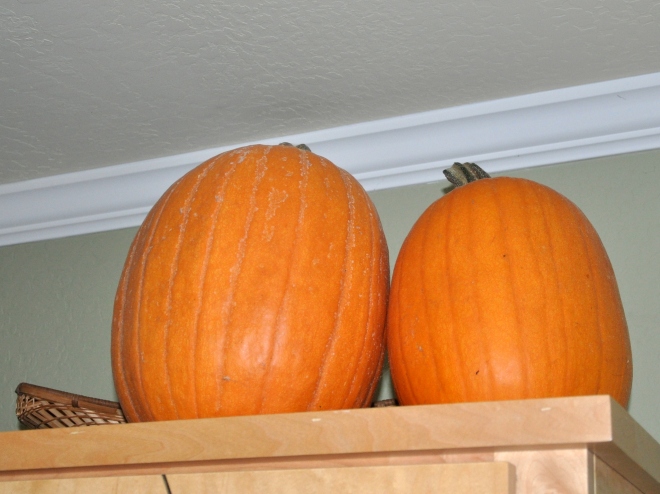pair-of-pumpkins