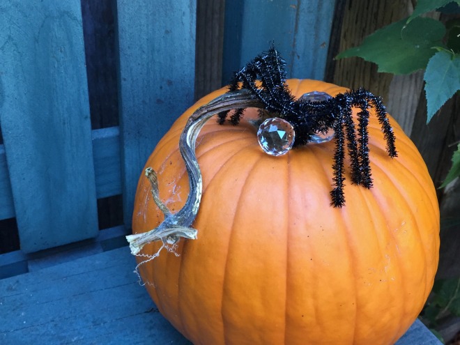 pumpkin-with-paulines-spider