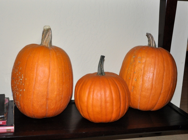 three-pumpkins