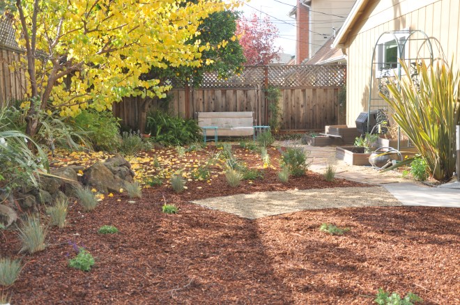 2015-new-landscape-back-garden