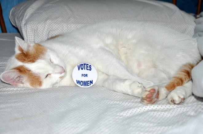 votes-for-women-white-pantsuit