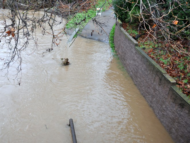 Almaden Lake after a storm