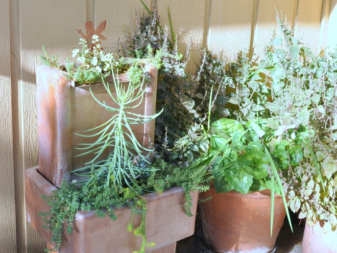 copper-fountain-planted-with-succulents-nov-23-2016-10-13-am